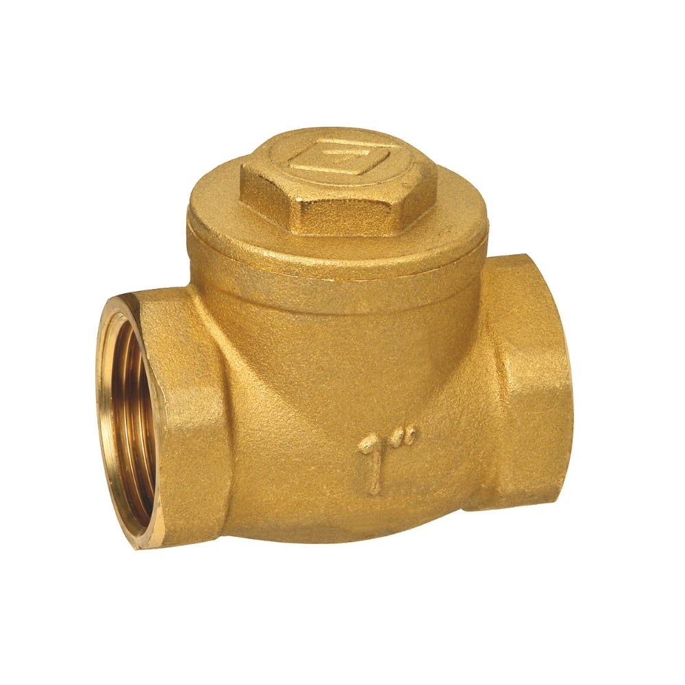 Valvula Retencion horizontal Chapaleta